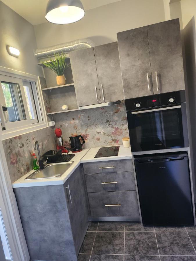 Small Luxury Apartment อานาวีซอส ภายนอก รูปภาพ